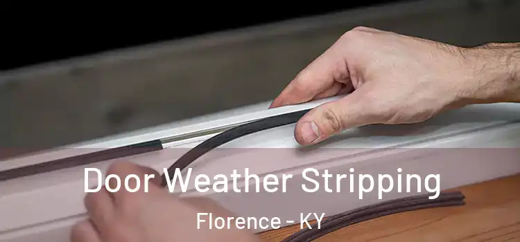 Door Weather Stripping Florence - KY