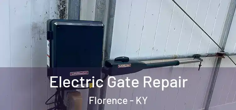 Electric Gate Repair Florence - KY