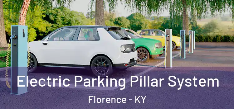 Electric Parking Pillar System Florence - KY