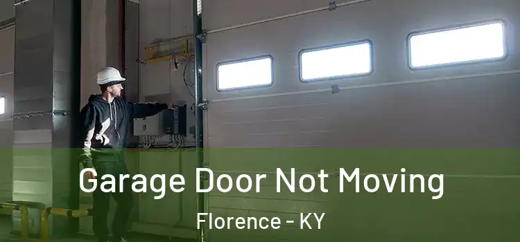  Garage Door Not Moving Florence - KY