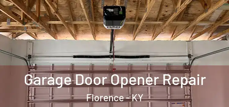  Garage Door Opener Repair Florence - KY