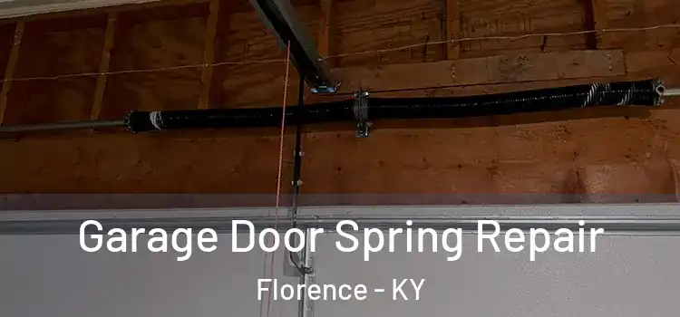  Garage Door Spring Repair Florence - KY