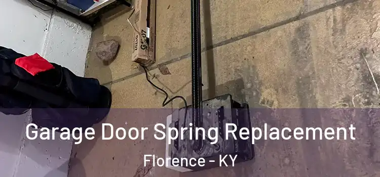  Garage Door Spring Replacement Florence - KY