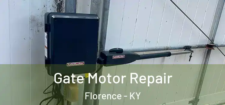Gate Motor Repair Florence - KY
