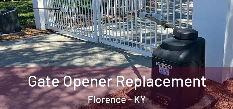 Gate Opener Replacement Florence - KY