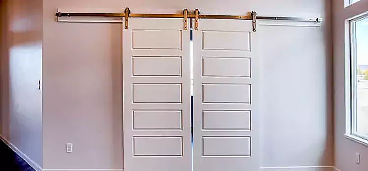 Glass Barn Door with Installation Hardware Kit Florence