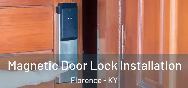  Magnetic Door Lock Installation Florence - KY