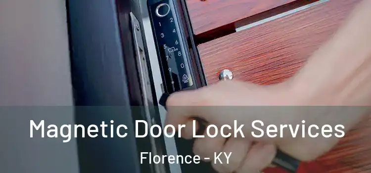Magnetic Door Lock Services Florence - KY