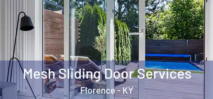 Mesh Sliding Door Services Florence - KY