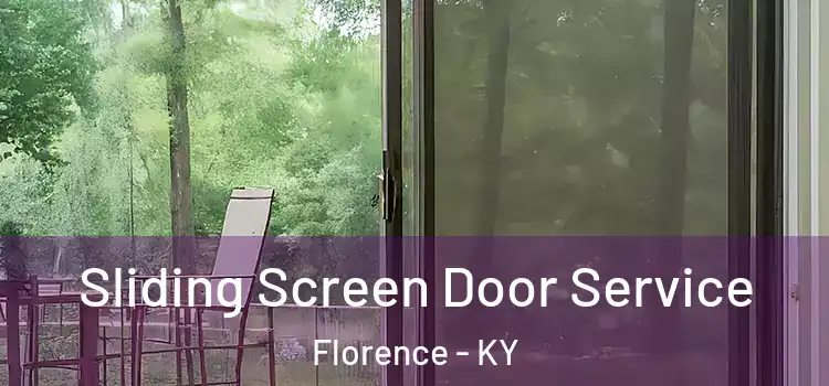 Sliding Screen Door Service Florence - KY